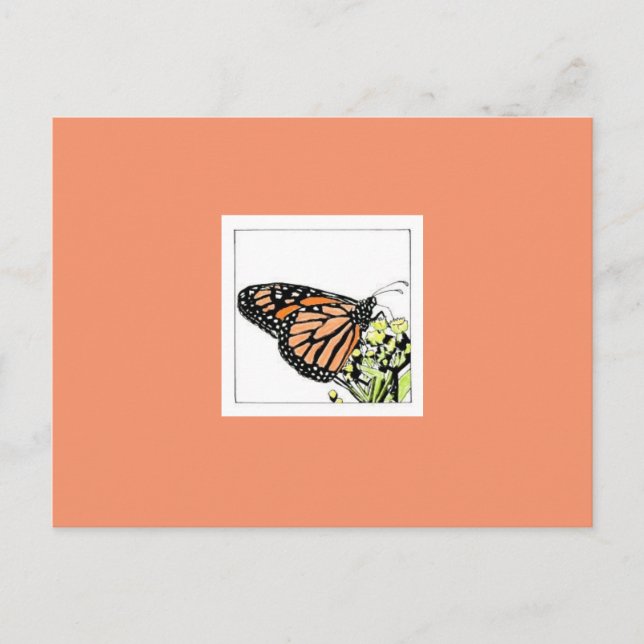 Monarchfalter (koloriert) postkarte (Vorderseite)