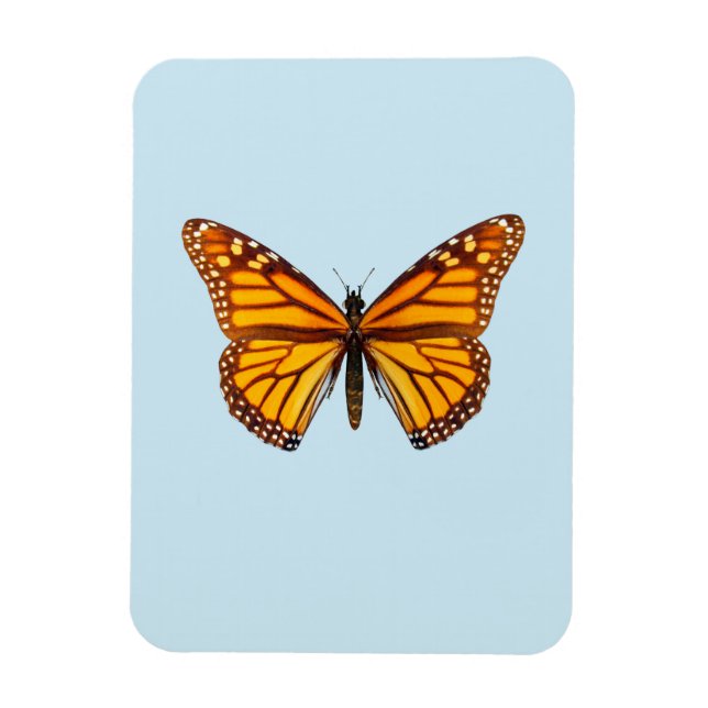 Monarchfalter Magnet (Vertikal)