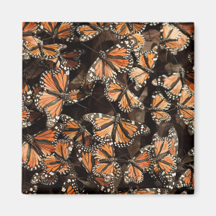 Monarchfalter Magnet
