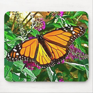 Monarchfalter-Mausunterlage Mousepad