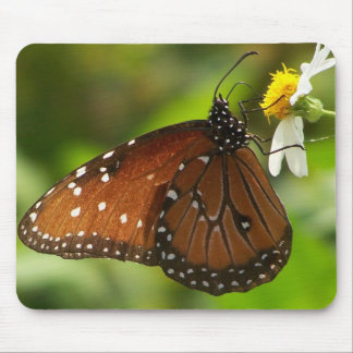 Monarchfalter Mousepad
