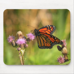 Monarchfalter Mousepad
