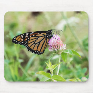 Monarchfalter Mousepad