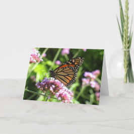 Monarchfalter Notecard Karte