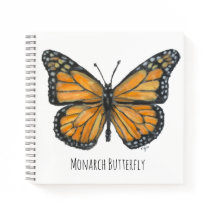 Monarchfalter 