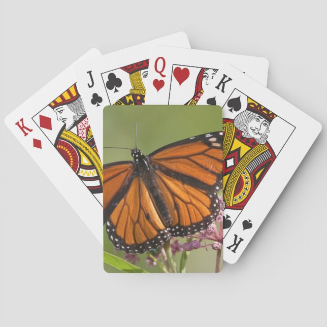 Monarchfaltermann auf SumpfMilkweed Spielkarten (Rückseite)