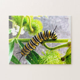 Monarchische Raupe Puzzle