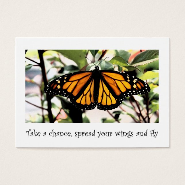 Monarchschmetterling (Vorderseite)