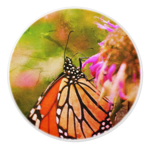 Monarchschmetterling auf Blume Nah Abstrakt Keramikknauf
