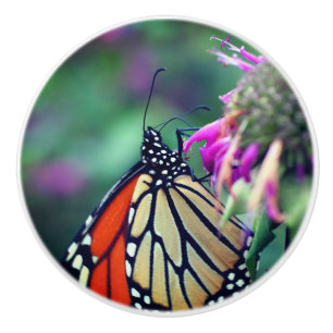 Monarchschmetterling auf der Blume Nah Keramikknauf