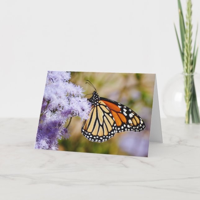 Monarchschmetterling auf der violetten Blütenkarte Karte (Vorderseite)