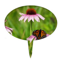 Monarchschmetterling auf einem lila coneflower