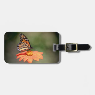 Monarchschmetterling auf einer orangen Blume Gepäckanhänger