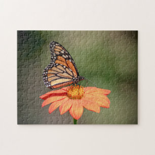 Monarchschmetterling auf einer orangen Blume Puzzle