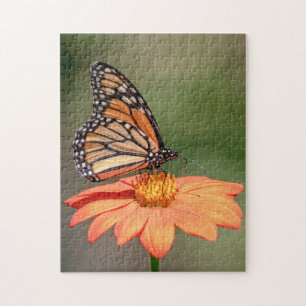 Monarchschmetterling auf einer orangen Blume Puzzle
