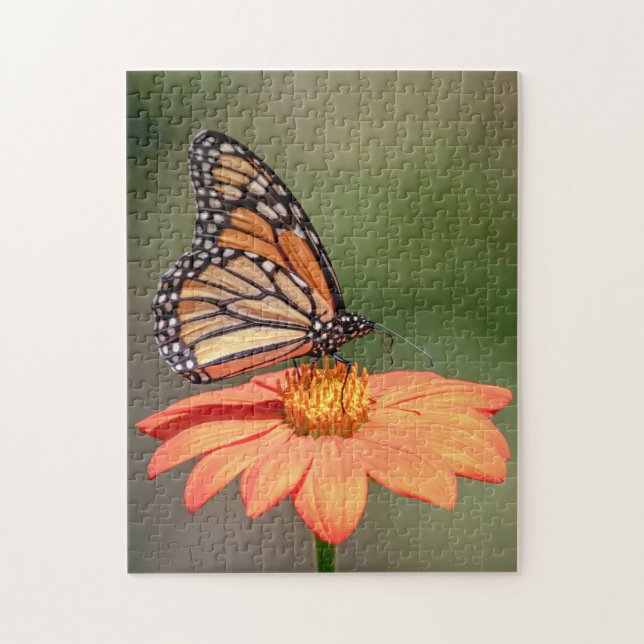 Monarchschmetterling auf einer orangen Blume Puzzle (Vertikal)