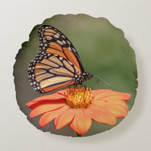 Monarchschmetterling auf einer orangen Blume Rundes Kissen