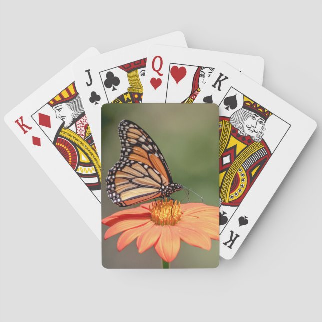 Monarchschmetterling auf einer orangen Blume Spielkarten (Rückseite)