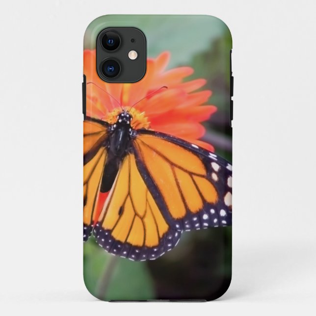 Monarchschmetterling auf orange Blume Case-Mate iPhone Hülle (Rückseite)