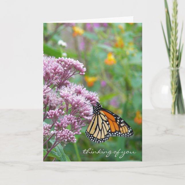 Monarchschmetterling auf Wildblume Karte (Vorderseite)