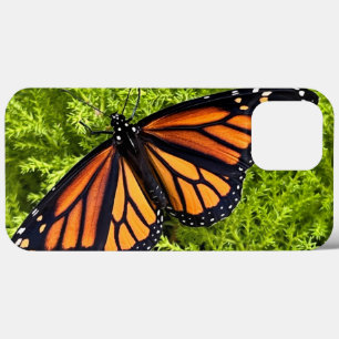 Monarchschmetterling Case-Mate iPhone Hülle