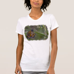 Monarchschmetterling im Grasweißen Rand T-Shirt