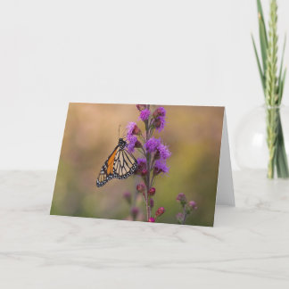 Monarchschmetterling Karte