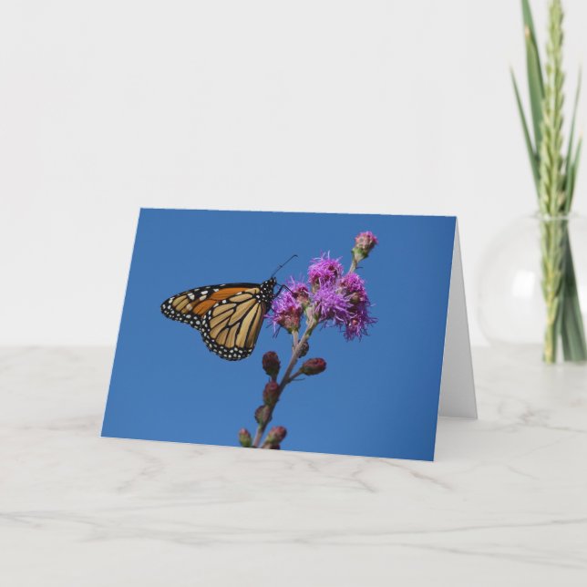 Monarchschmetterling Karte (Vorderseite)