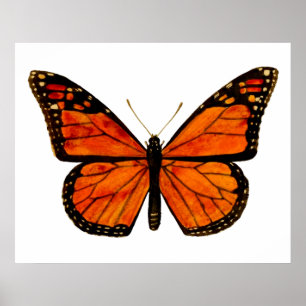 Monarchschmetterling Poster