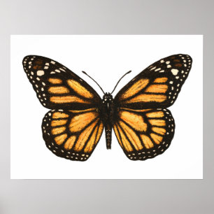 Monarchschmetterling Poster