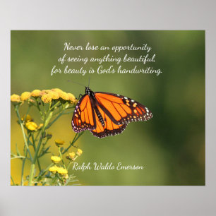 Monarchschmetterling Poster