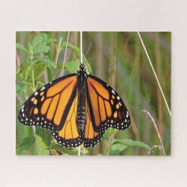 Monarchschmetterling. Puzzle (Horizontal)