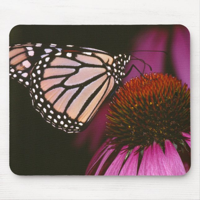 Monarchschmetterling und Lila Blume Mousepad (Vorne)