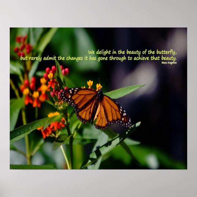 Monarchschmetterling, Zitat von Maya Angelou Poster (Vorne)