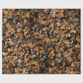 Monarchschmetterlinge, Geschenkpapier