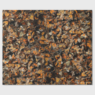 Monarchschmetterlinge, Geschenkpapier