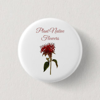 Monarda-Pflanze Einheimische Blumen Knopf Button
