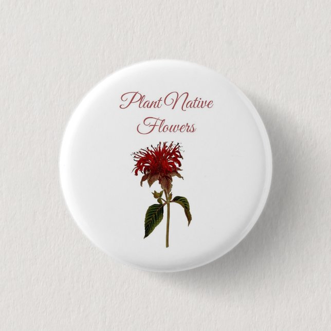 Monarda-Pflanze Einheimische Blumen Knopf Button (Vorderseite)