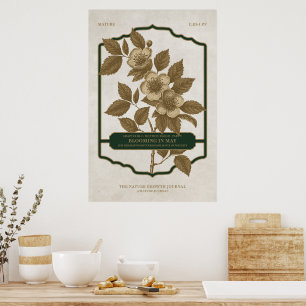 MONATLICHE BLÜTE - MAI GEBURTSBLUMEN-GESCHENK-POST POSTER