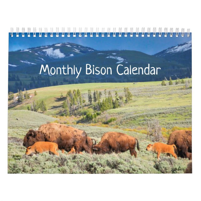 Monatlicher Bison-Kalender - Ausgabe der Nationalp Kalender (Titelbild)