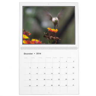 Monatskalender der Kolibri-2016 durch Tom Minutolo Kalender