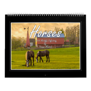 Monatskalender der Pferd2018 durch Tom Minutolo Kalender