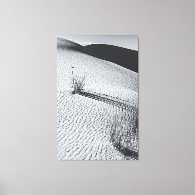 Monchrome Wüstenlandschaft mit Grasflößen Leinwanddruck (Vorderseite)