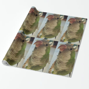Mönchssittich Geschenkpapier