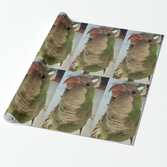 Mönchssittich Geschenkpapier (Ungerollt)