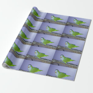 Mönchssittich-Geschenkpapier Geschenkpapier