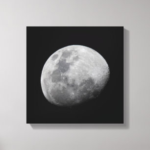 Mond mit schwarzem Himmel   Sambia, Süd-Luangwa Leinwanddruck