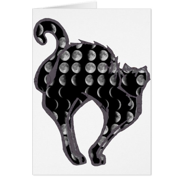 Mond-Phasen-Miezekatze (Vorne)