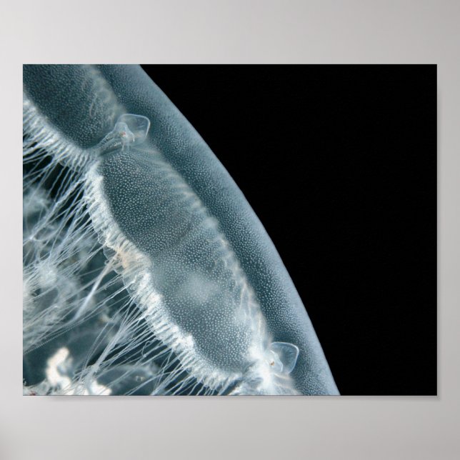 Mondaufgang - Kunstdruck Poster (Vorne)