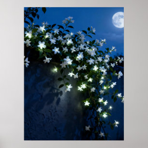 Mondbeschienene weiße Blumenrankenkunst Poster